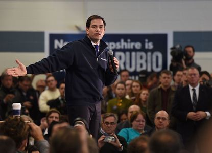 Marco Rubio tumbles in the polls, according to one new survey