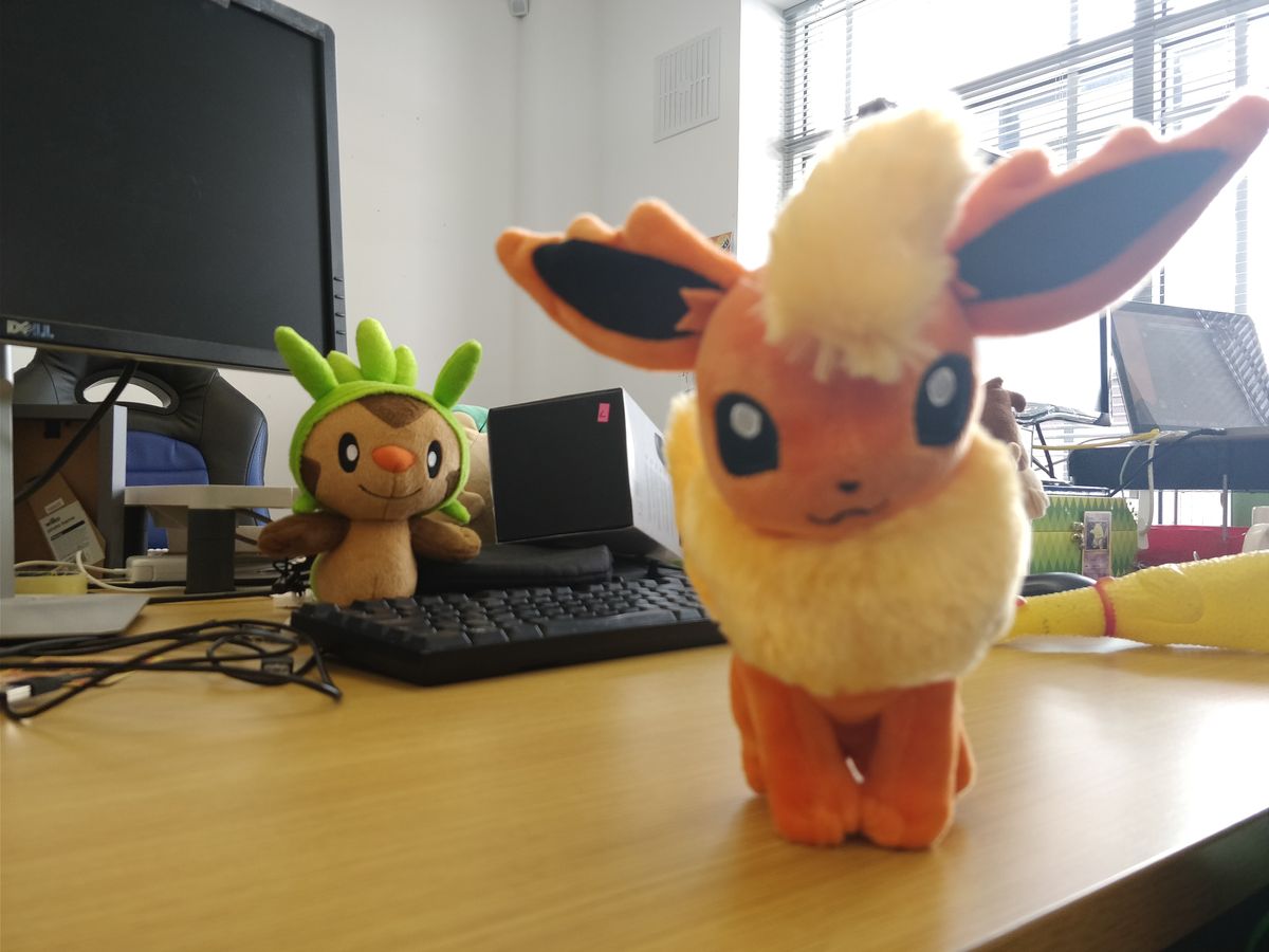 The front of the image is now blurred as we focused on the Pokemon in the background.