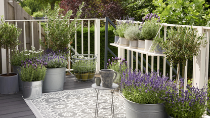 Garden deck with rug and potted plants