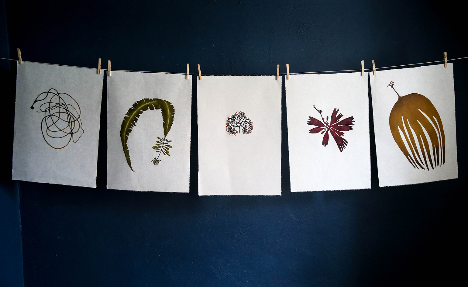 Paper hanged for drying