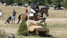 Gatcombe Horse Trials British novice championship: Oliver Townend and Finley Du Loir take top spot