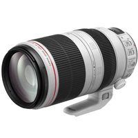 Canon EF 100-400mm f/4.5-5.6L II IS USM |
