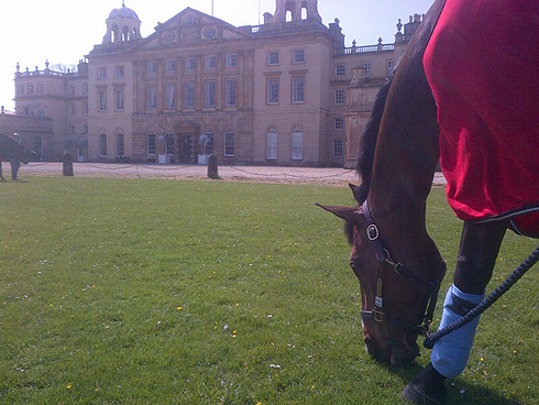 ZeroFlightBadmintongrazing