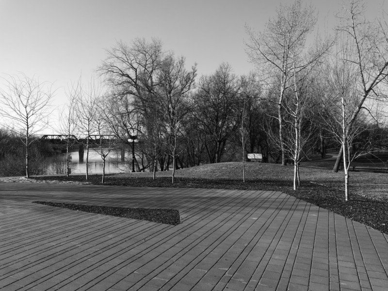 Huawei P9 camera sample - black and white