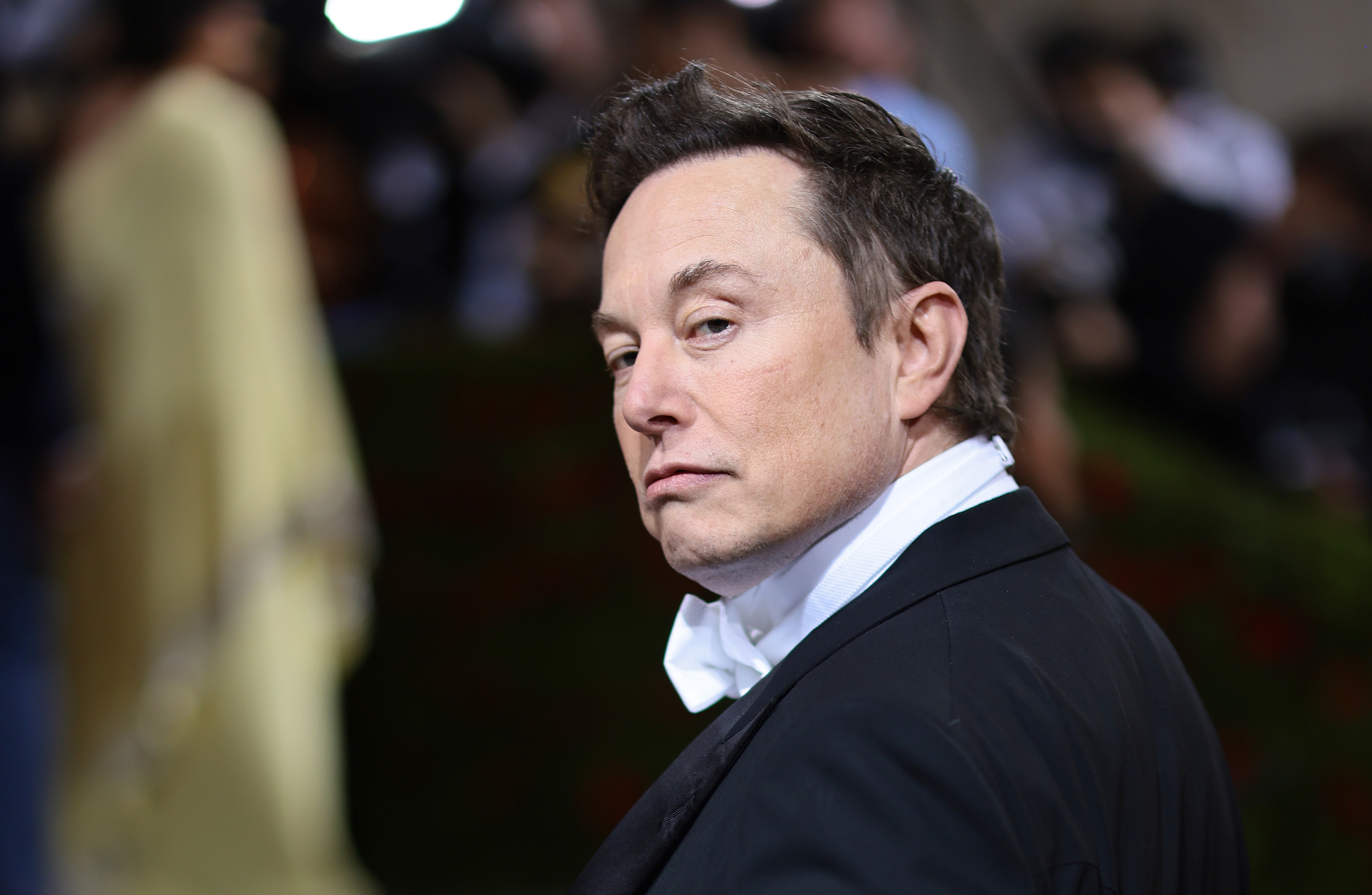 Elon Musk Shoots Down Robert Herring's Declaration That He'll Save ...