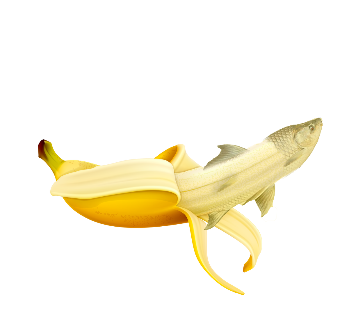 An image of a banana that is also a fish.