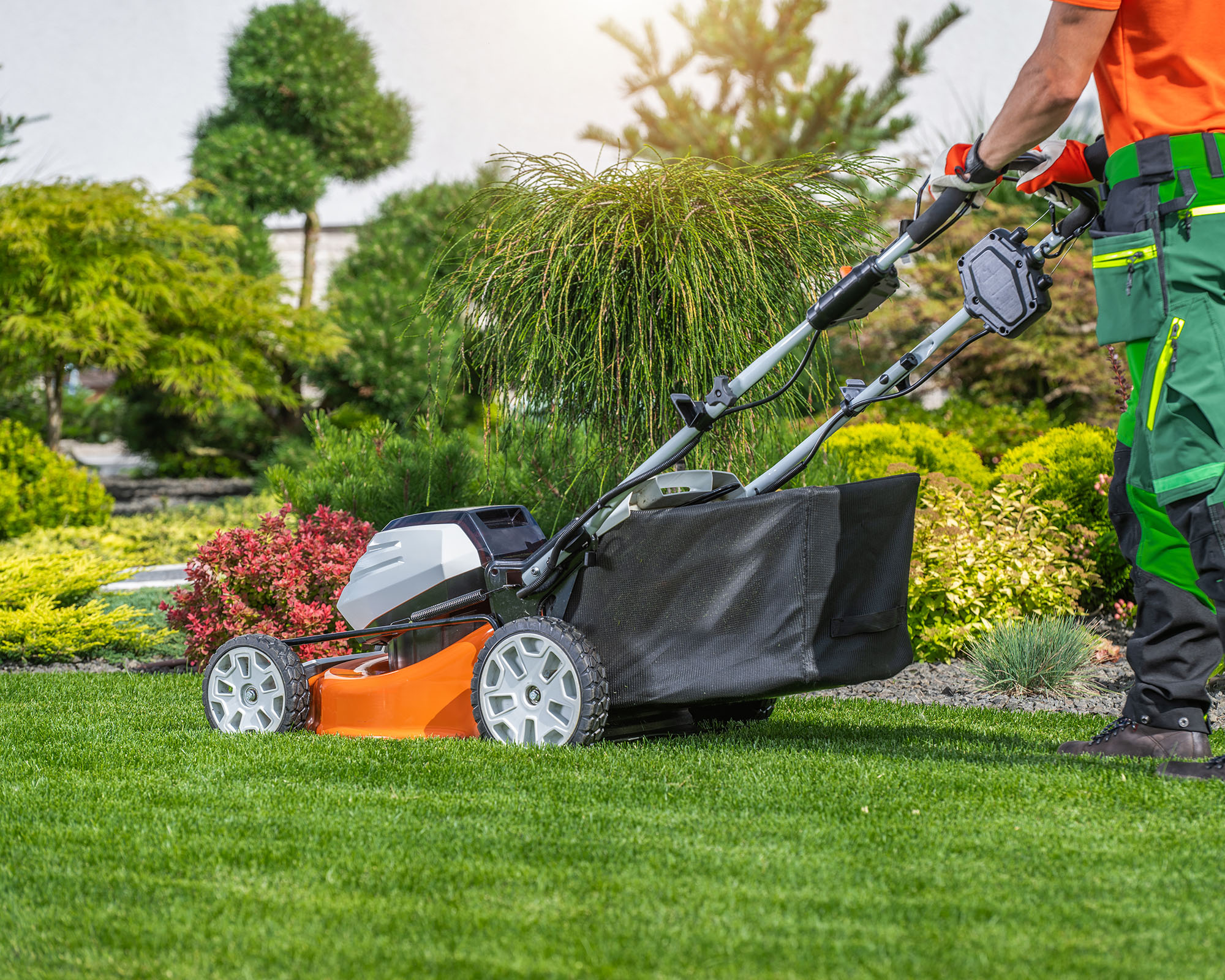 A gardener uses a lawn mower to trim grass in a lush garden filled with colorful plants and trees, showcasing a neat and inviting outdoor space.