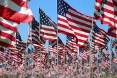 rows of american flags blowing in the wind