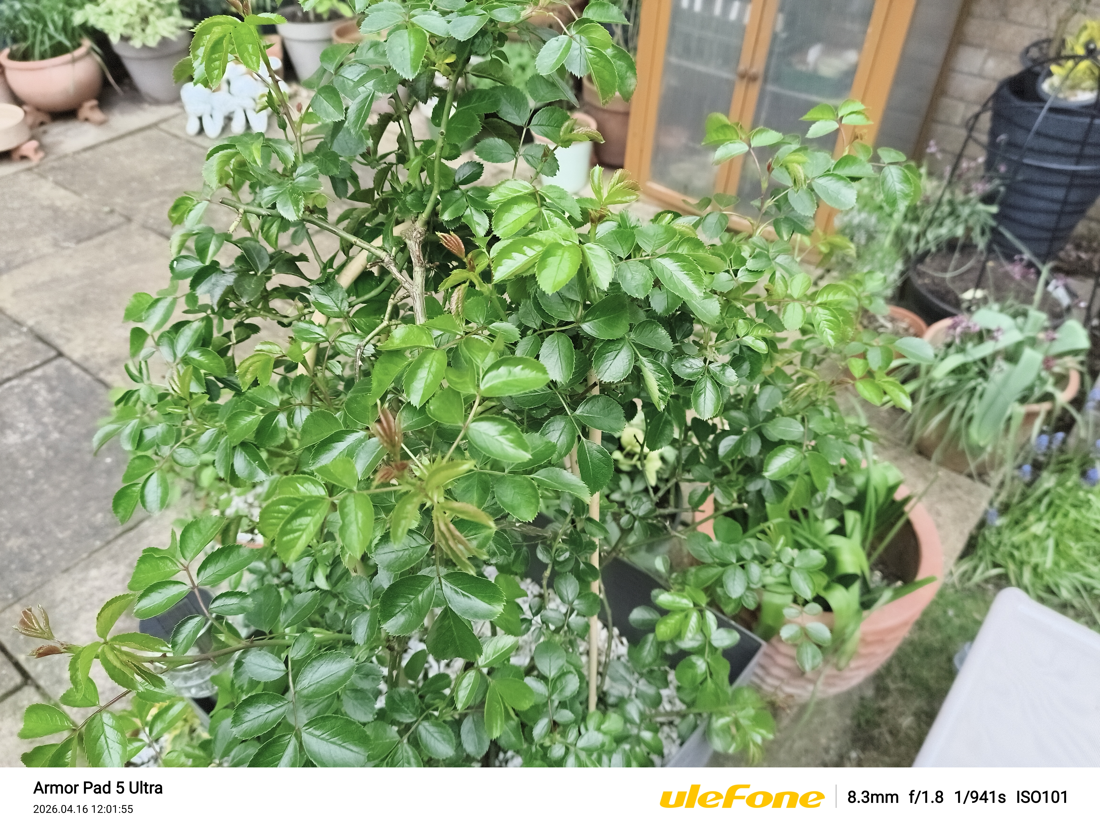 Ulefone Armor Pad 5 Ultra Photo Examples