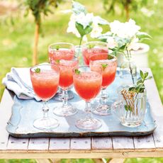 garden party ideas glasses of frose on metal tray