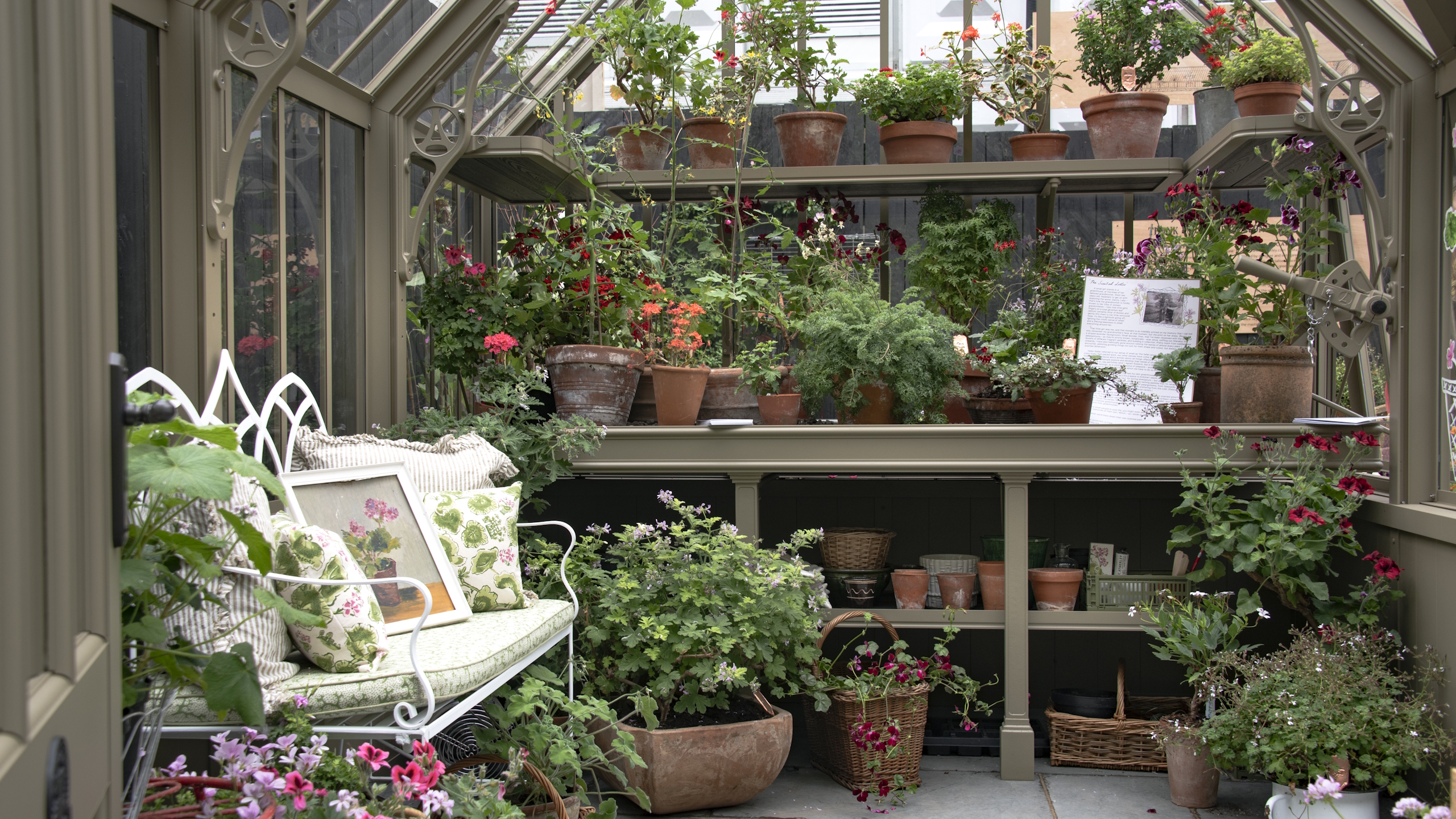 A range of plants in terracotta pots growing in a greenhouse at the Chelsea Flower Show