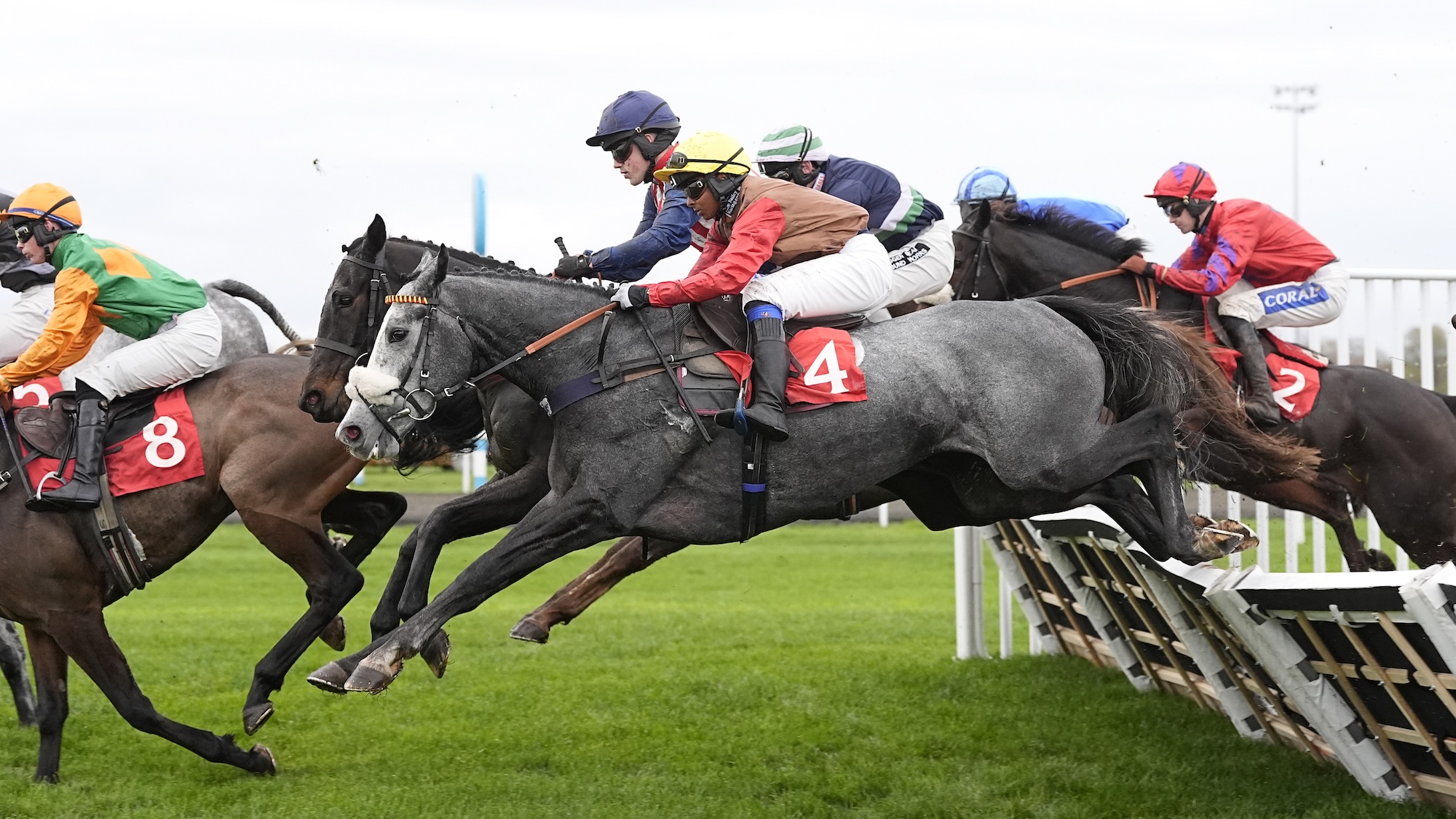 Aamilah Aswat 2 credit John Hoy and The Jockey Club