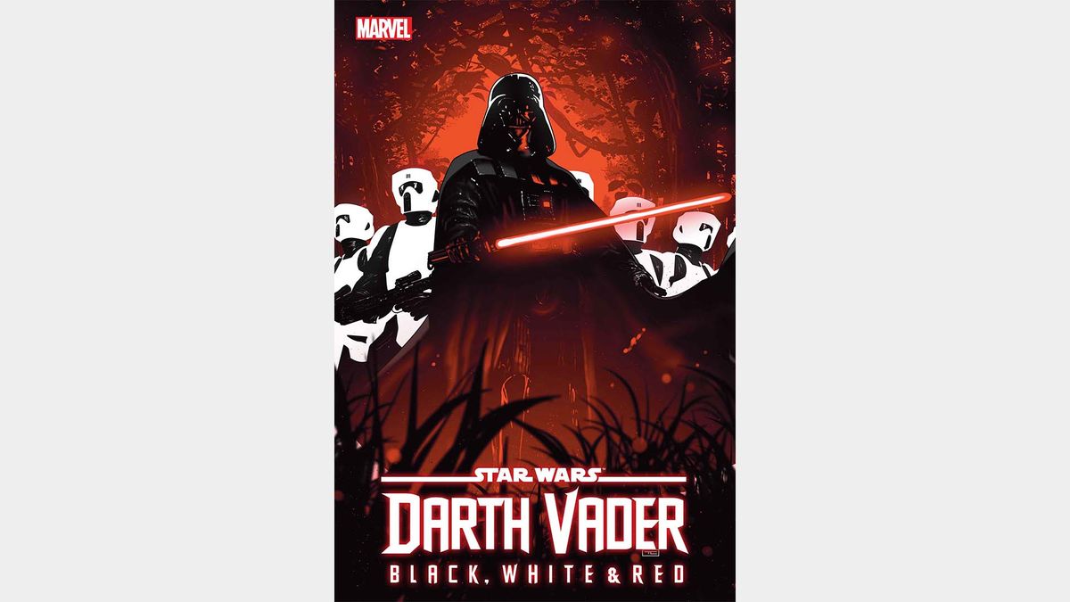Star Wars: Darth Vader - Black, White &amp; Red #4 cover art