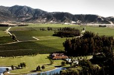 Le Dix de Los Vascos