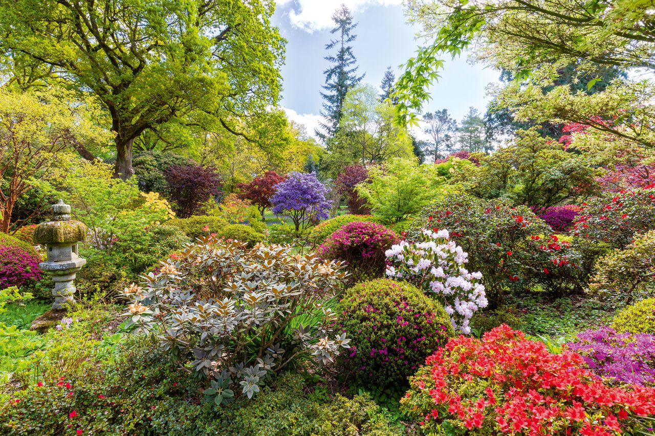 Ramster Gardens, Surrey.