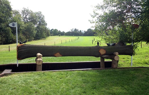 Burghley-2018-Fence13