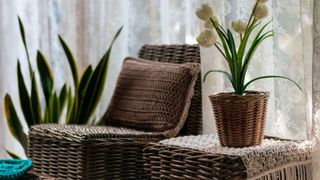 Rattan furniture