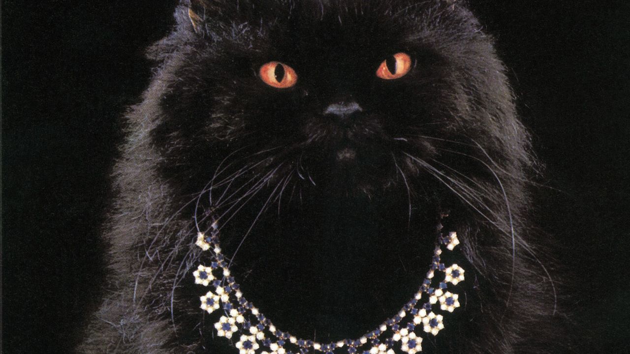 boucheron_cat_theweek_portfolio_teaser4.jpg