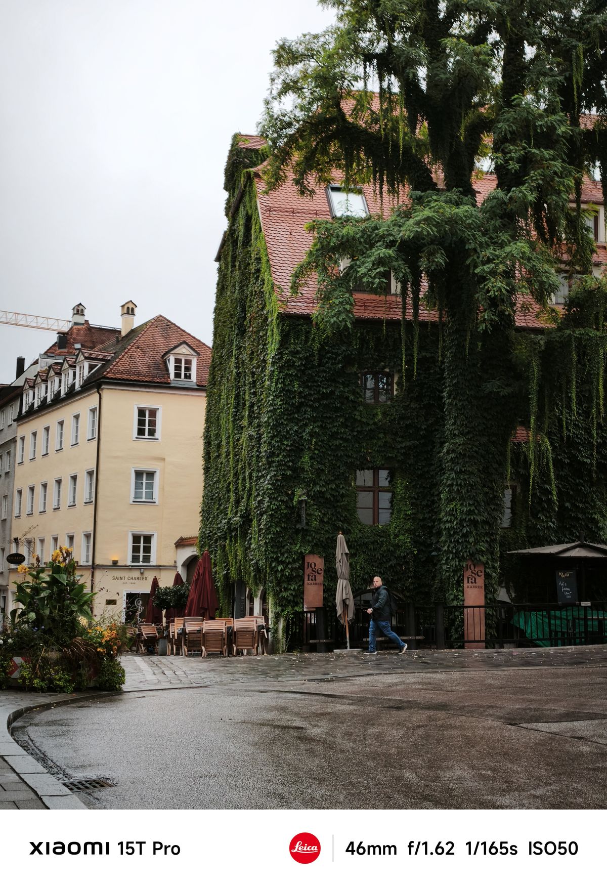 A building covered in ivy on a street in Munich, Germany