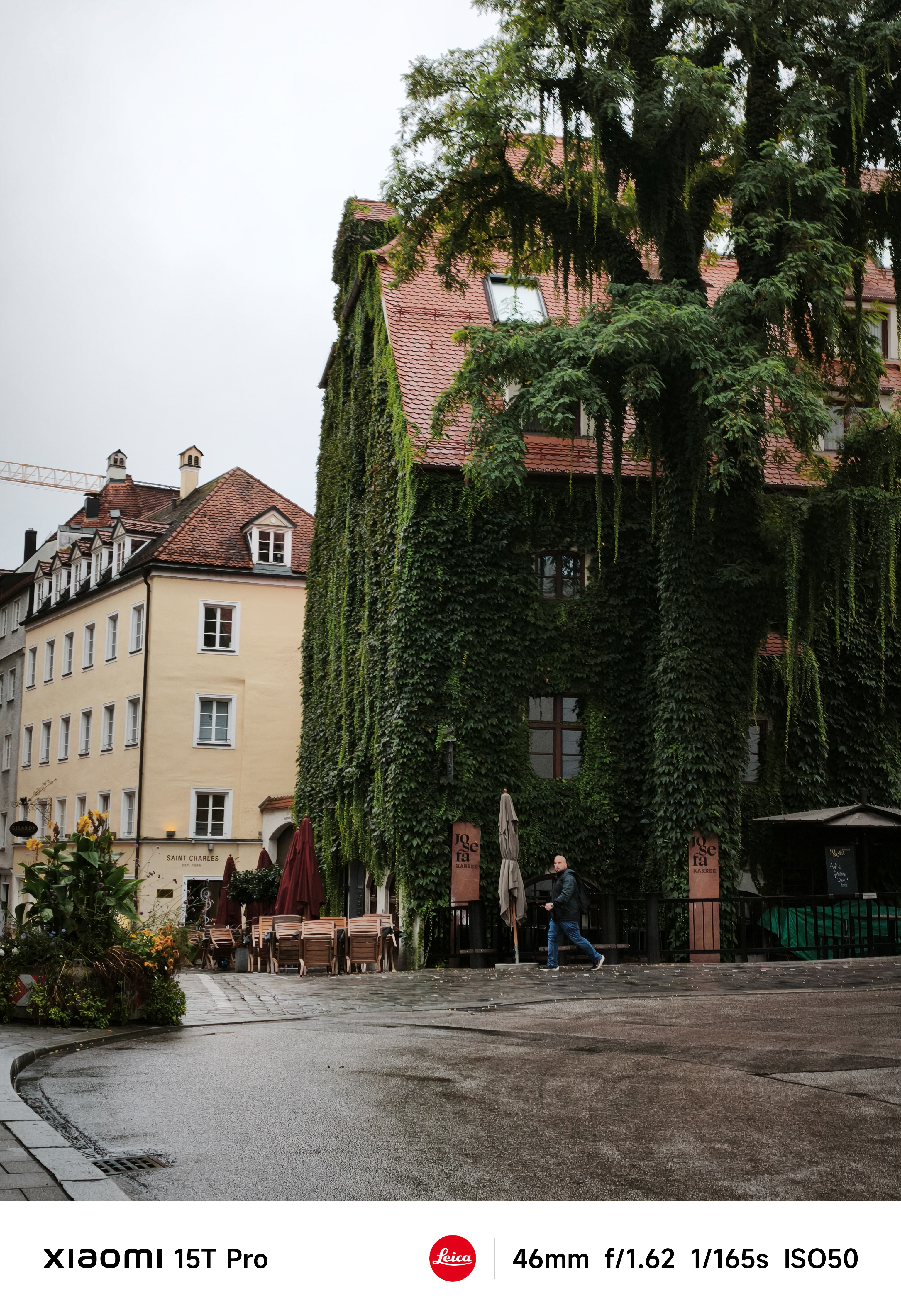 A building covered in ivy on a street in Munich, Germany