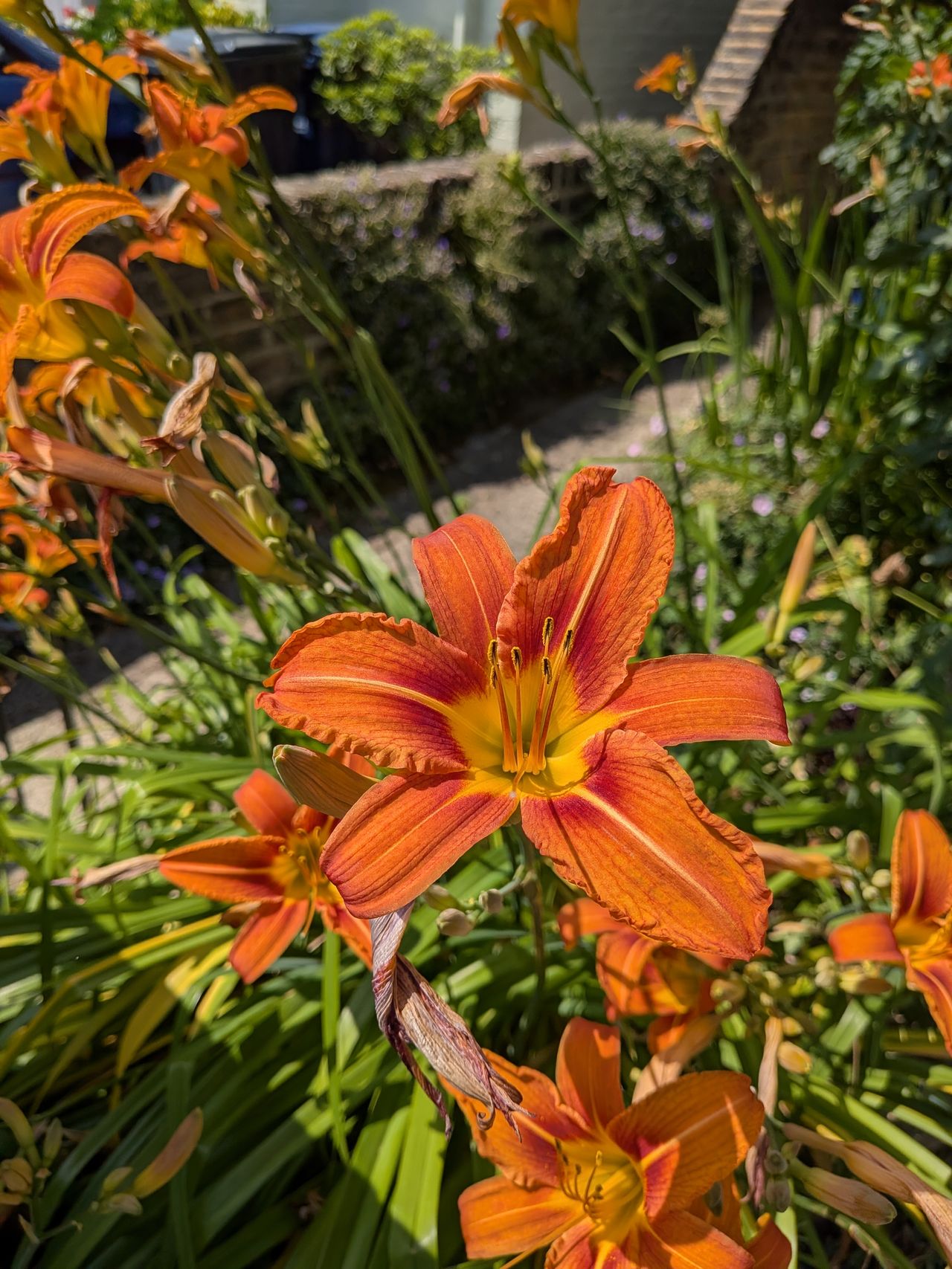 A photo captured on the Google Pixel 9a