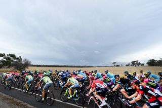 The peloton on stage 4 of the 2016 Tour Down Under