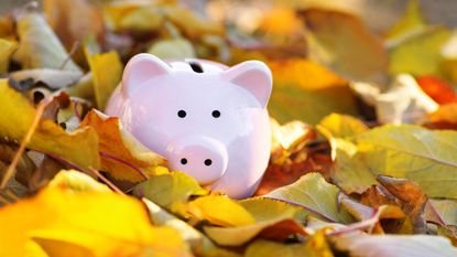 A piggybank sits among colorful fall leaves.
