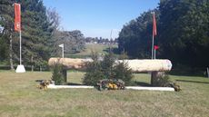Blenheim cross-country 2019