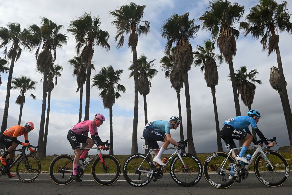 ALCUDIA SPAIN JANUARY 26 LR Luis Angel Mate of Spain and Team EuskaltelEuskadi Julius Van den Berg of The Netherlands and Team EFEasyPost Colby Lange of The United States and Team Project Echelon Racing and Alessandro Fancellu of Italy and Team EoloKometa compete in the breakaway during the 32nd Challenge Ciclista Mallorca 2023 Trofeo Ses Salines Alcdia a 1586km one day race from Ses Salines to Por DAlcdia ChallengeMallorca on January 26 2023 in Alcudia Spain Photo by Dario BelingheriGetty Images
