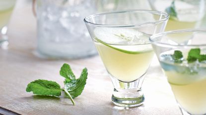 glass with apple and elderflower martini cocktail