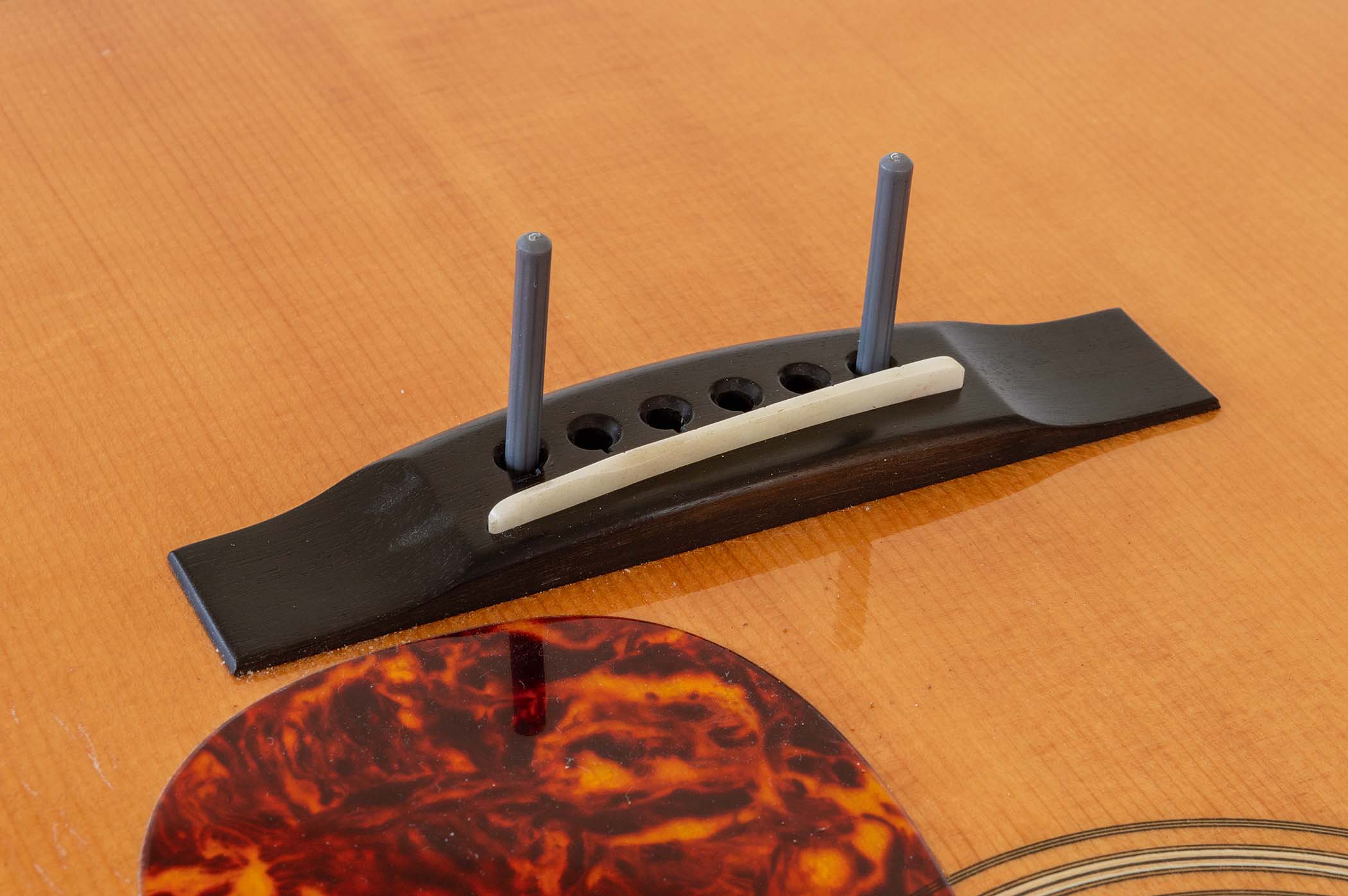 GIT539 Nitty Gritty: how to install an L.R. Baggs acoustic guitar pickup system.