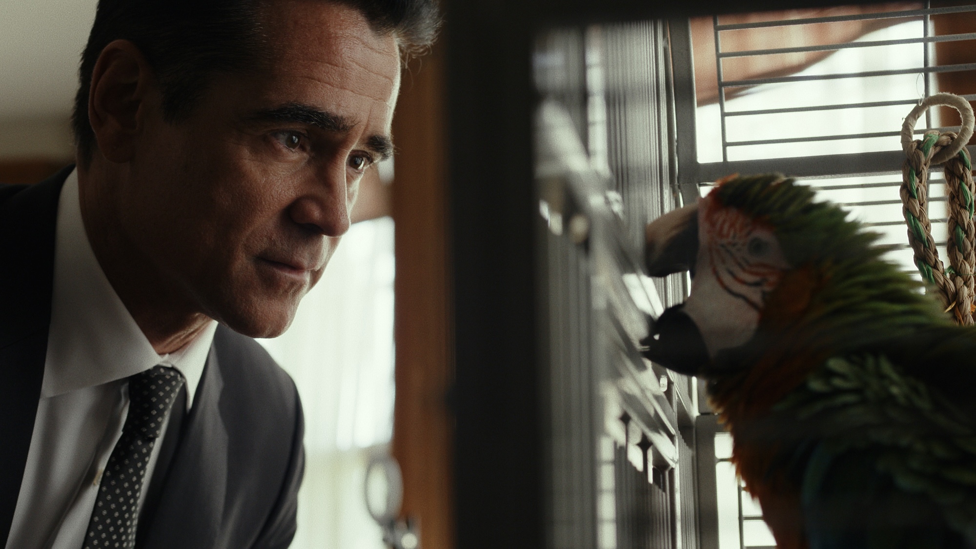 John looking at a parrot in Sugar Season 2
