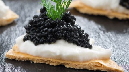 Caviar on a cracker