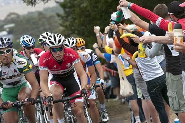 Feeding time for the peloton on the Midland Highway.