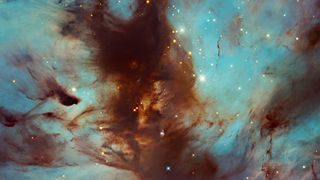 This image of the Flame Nebula in the constellation of Orion was captured by the Hubble Space Telescope during a search for brown dwarf.