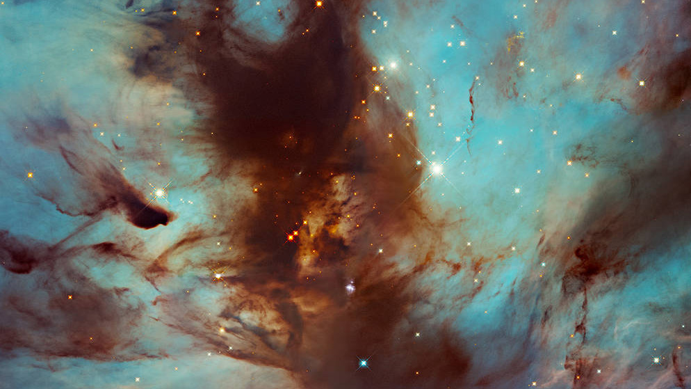 This image of the Flame Nebula in the constellation of Orion was captured by the Hubble Space Telescope during a search for brown dwarf.