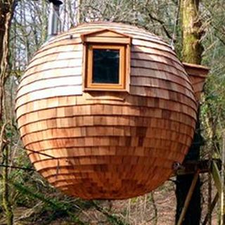 Floating wooden sphere treehouse in forrest