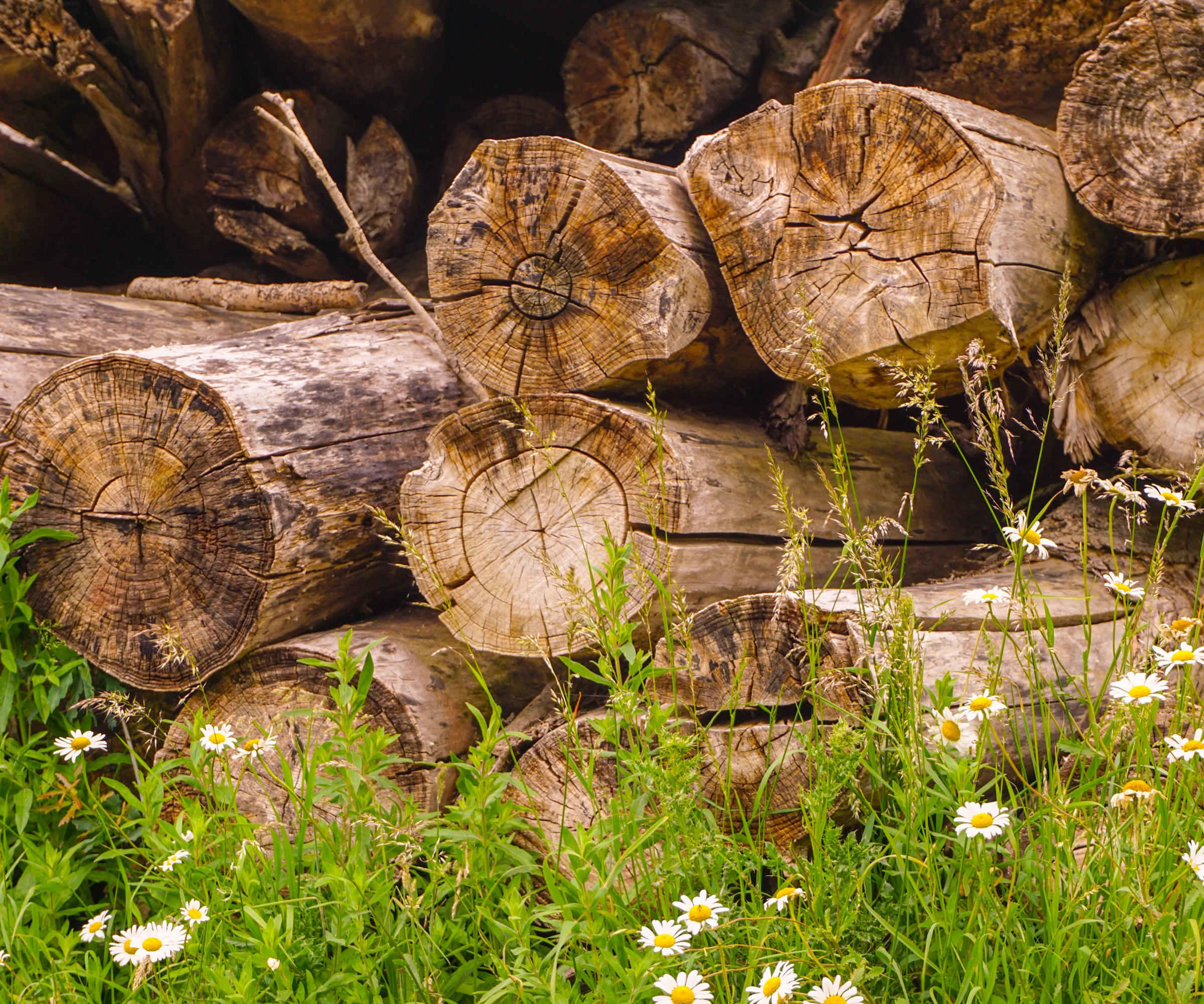 Log pile
