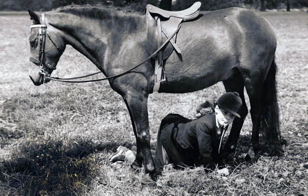 QUIZ Jane Holderness-Roddam