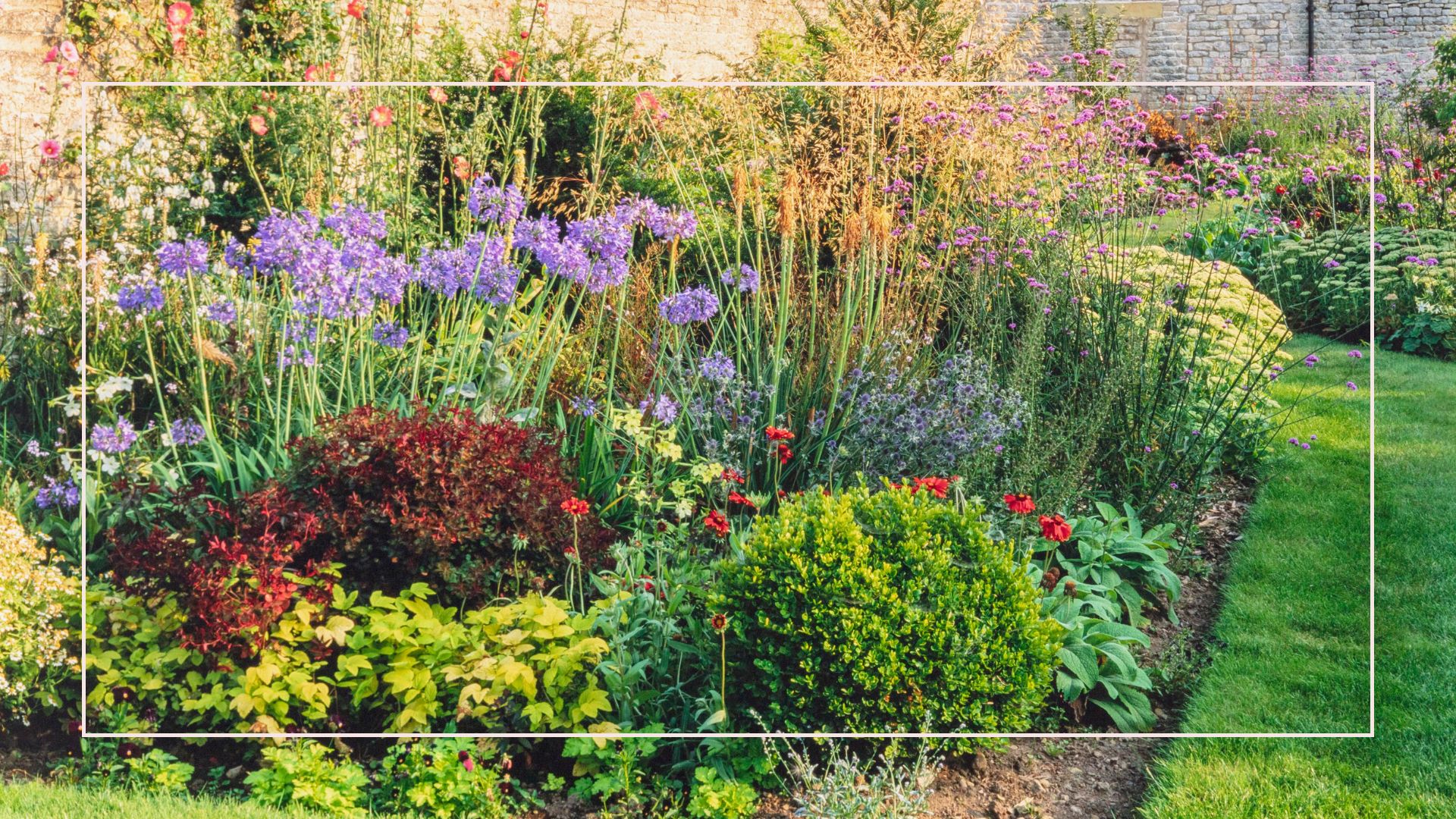 A walled garden flowerbed filled with colourful summer flowers to ask Should outdoor plants be watered every day in hot weather