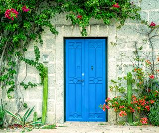 Cacti and red flowers grow around a bright blue door