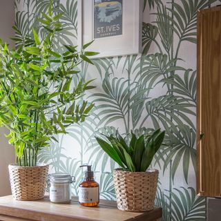 jungle themed bathroom with potted plants on table