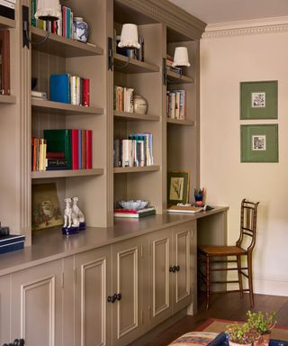 Shelves in Mouses Back by Farrow & Ball