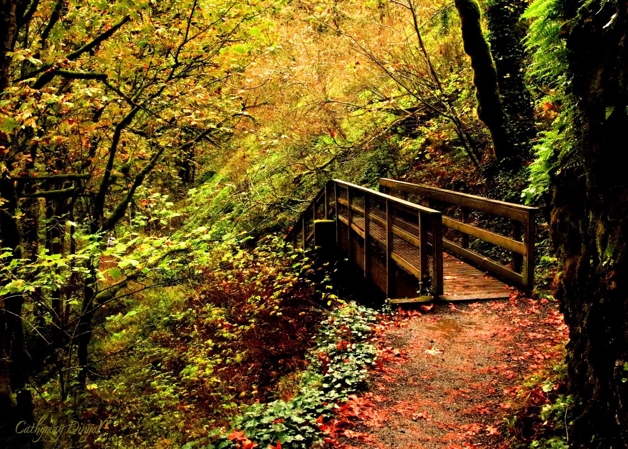 GuruShots - March 2026