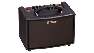 Best acoustic guitar amps: Boss AC-22LX