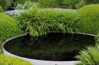 garden pond ideas: black circular pond with grasses nearby
