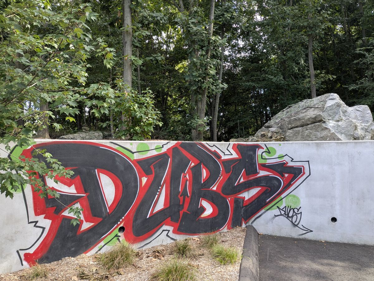 Google Pixel 9 Pro Fold camera image samples
