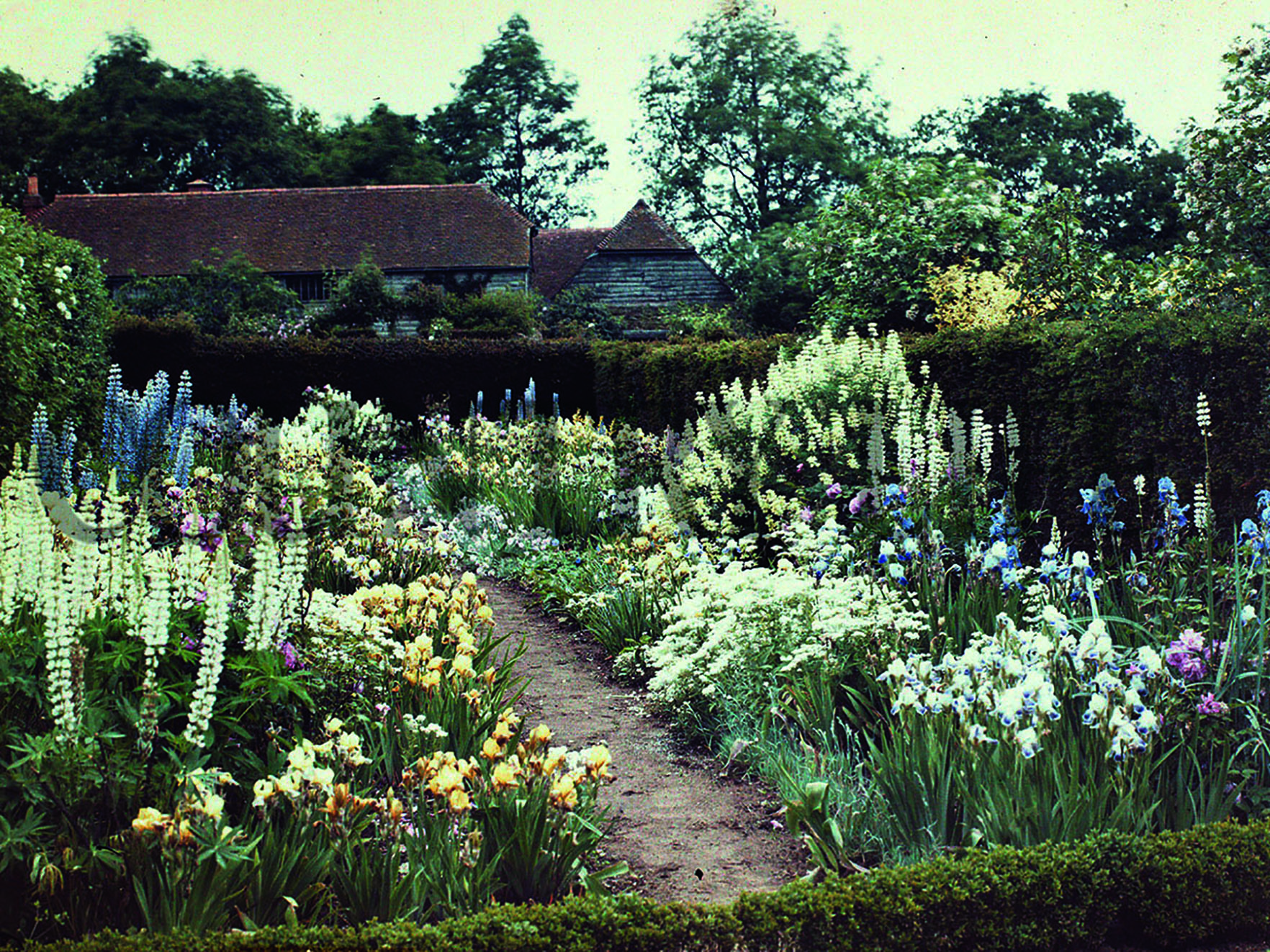 Autochrome of Jeykll garden