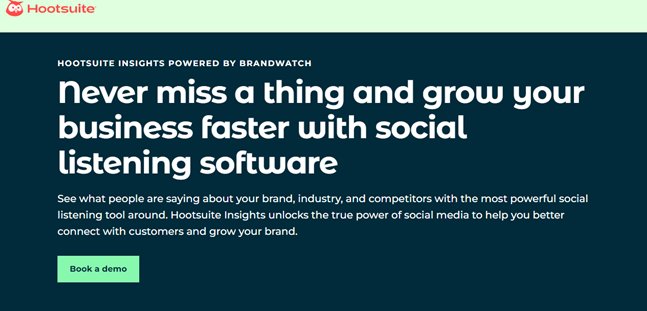 Website screenshot for Hootsuite Insights