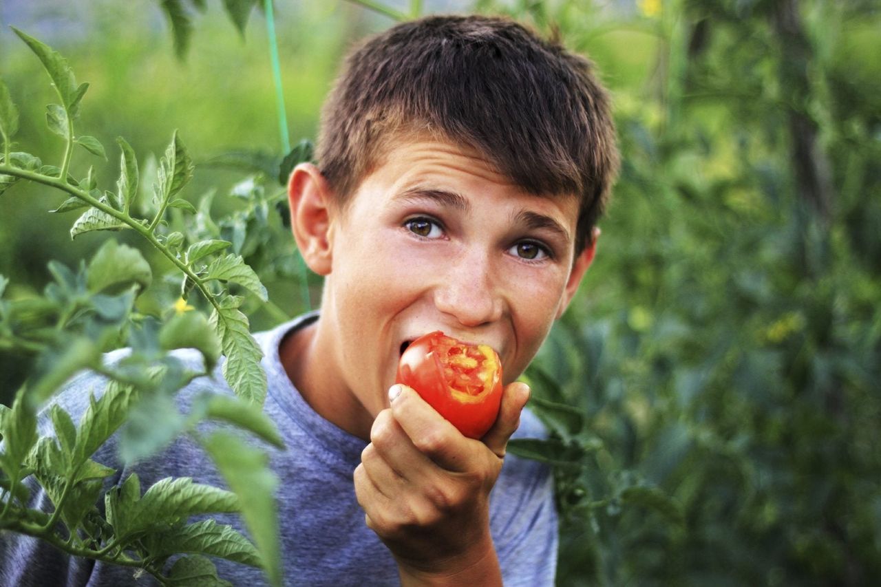 Child Biting A Whole Tomato